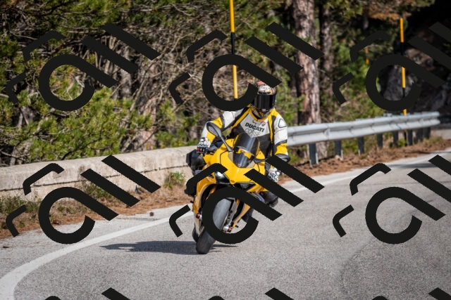 202603011220-DSC_1250_c2