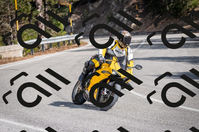 202603011220-DSC_1251_c2