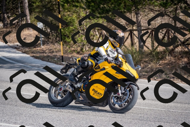 202603011220-DSC_1252_c2