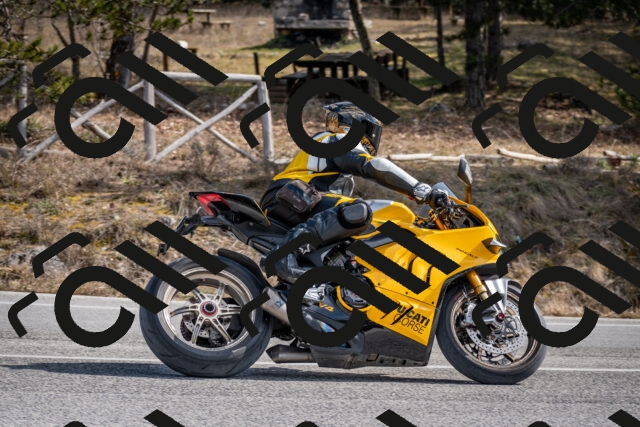 202603011220-DSC_1253_c2