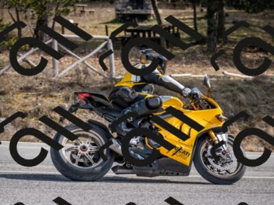 202603011220-DSC_1253_c2