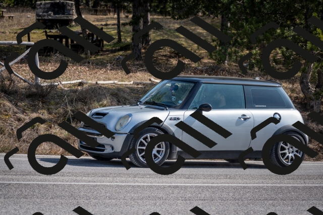 202603011227-DSC_1254_c2