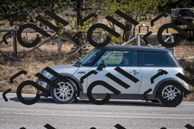 202603011227-DSC_1255_c2