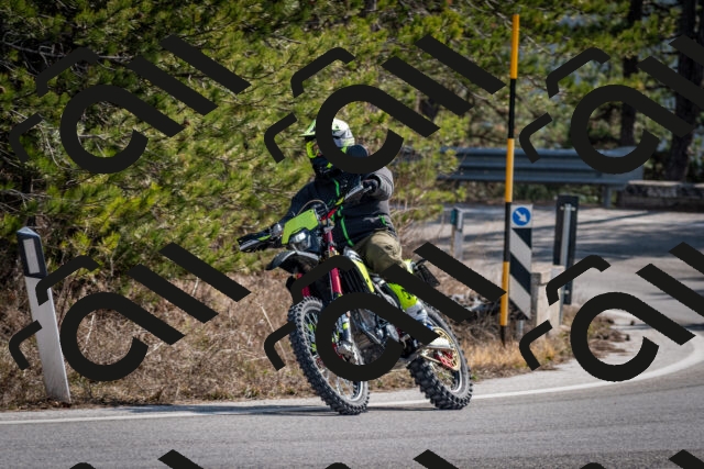 202603011230-DSC_1256_c2