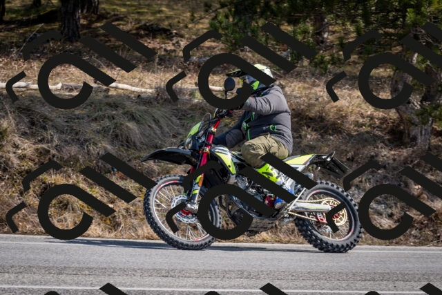 202603011230-DSC_1258_c2