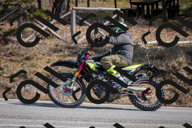 202603011230-DSC_1259_c2