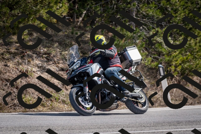 202603011230-DSC_1260_c2