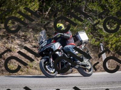 202603011230-DSC_1260_c2