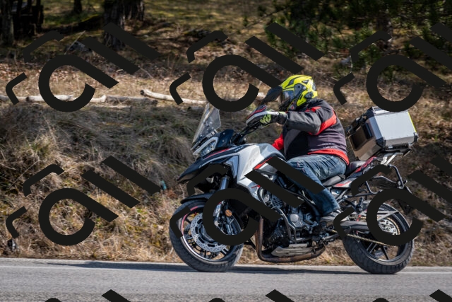 202603011230-DSC_1261_c2