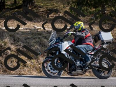 202603011230-DSC_1261_c2