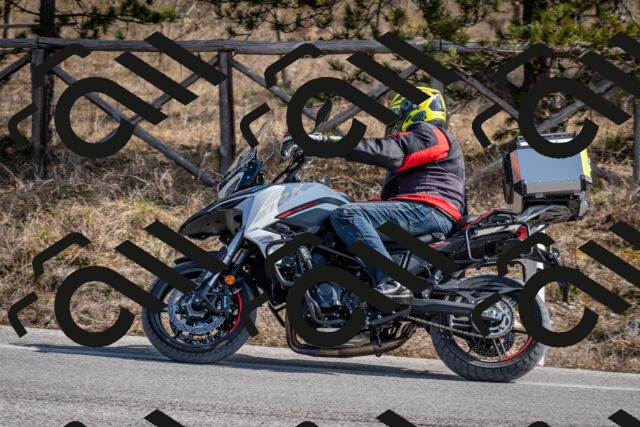 202603011230-DSC_1262_c2