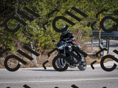 202603011231-DSC_1264_c2