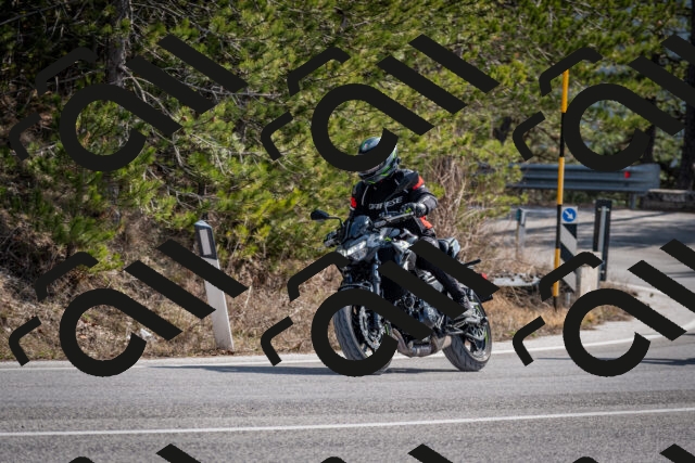 202603011231-DSC_1264_c2