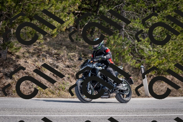 202603011231-DSC_1265_c2