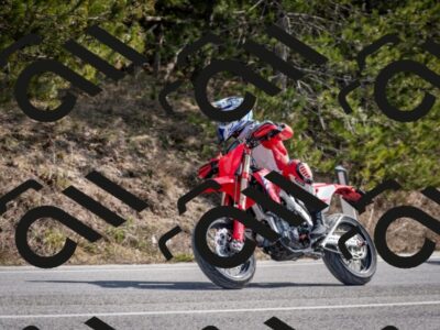 202603011231-DSC_1266_c2