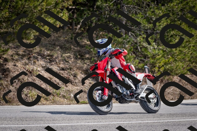 202603011231-DSC_1266_c2