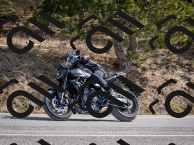 202603011231-DSC_1268_c2