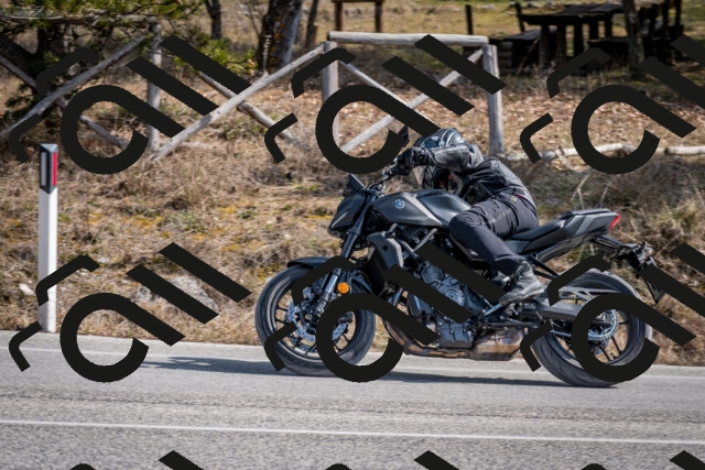 202603011231-DSC_1269_c2