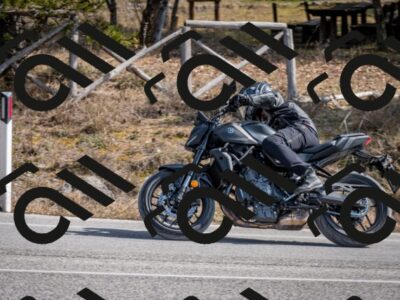 202603011231-DSC_1269_c2