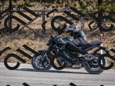 202603011231-DSC_1270_c2