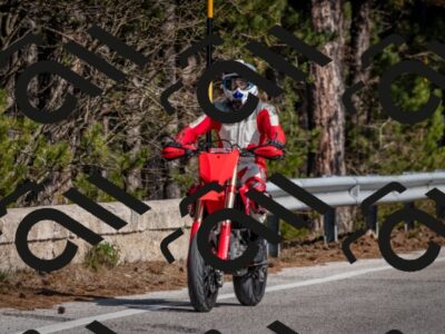 202603011232-DSC_1275_c2