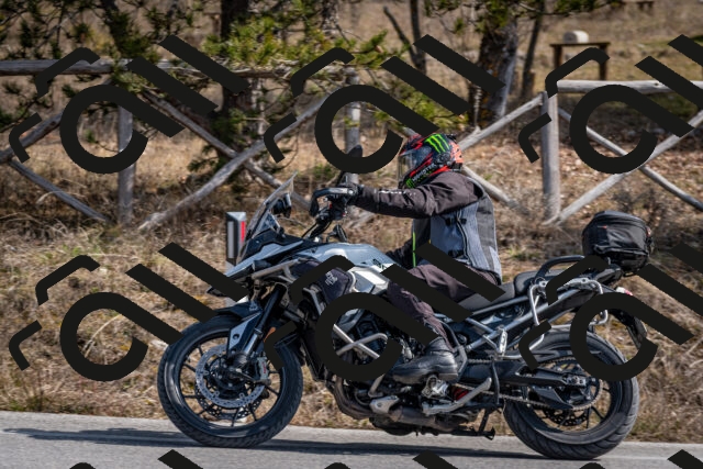 202603011234-DSC_1278_c2