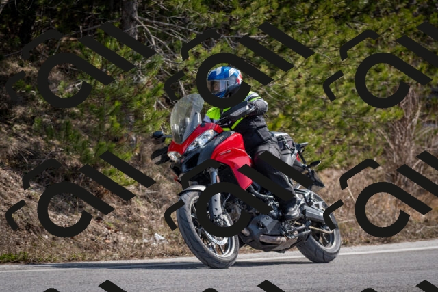 202603011234-DSC_1279_c2