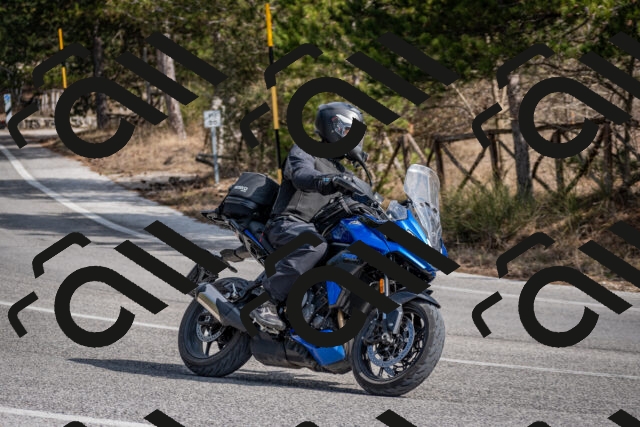 202603011238-DSC_1283_c2