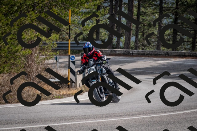 202603011240-DSC_1285_c2