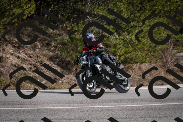 202603011240-DSC_1286_c2