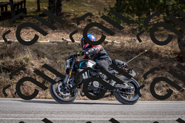 202603011240-DSC_1287_c2