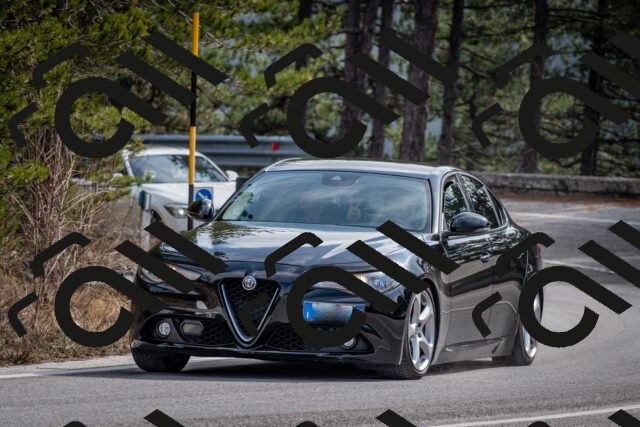 202603011244-DSC_1293_c2