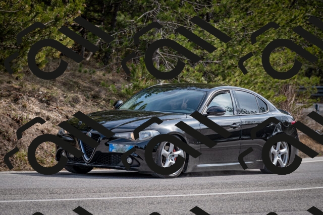 202603011244-DSC_1294_c2