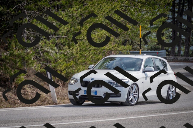 202603011244-DSC_1295_c2