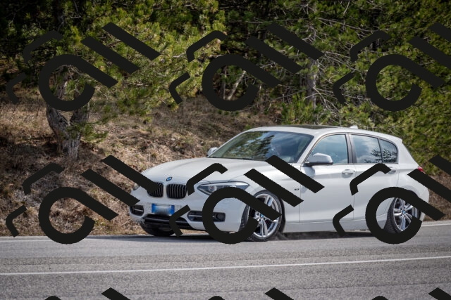 202603011244-DSC_1296_c2