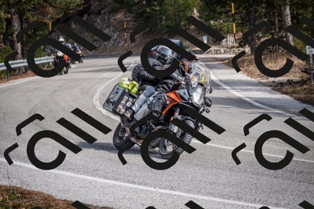 202603011244-DSC_1297_c2