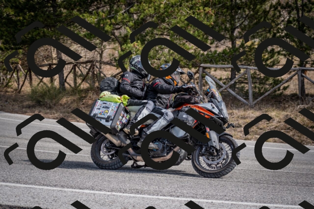 202603011244-DSC_1298_c2