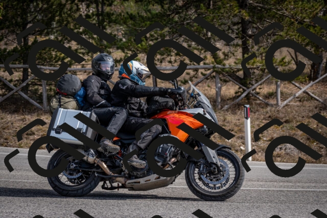 202603011244-DSC_1302_c2