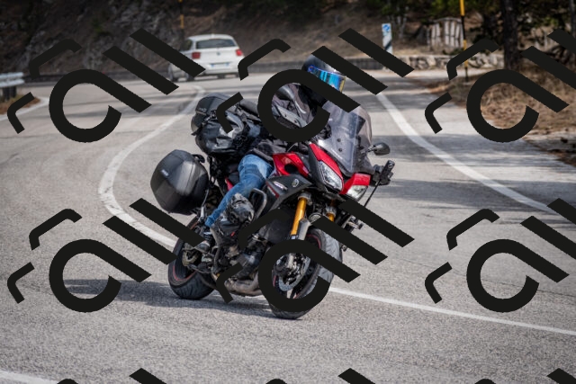 202603011244-DSC_1303_c2