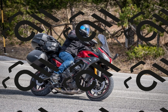 202603011244-DSC_1304_c2