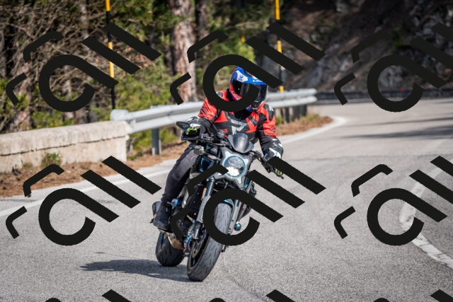 202603011247-DSC_1306_c2