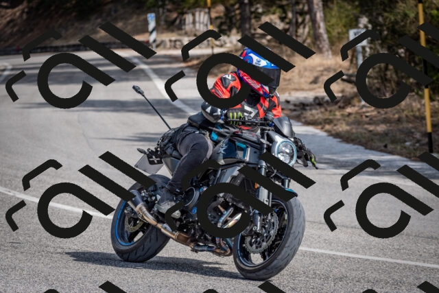 202603011247-DSC_1307_c2