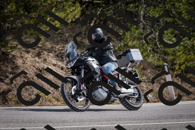 202603011249-DSC_1309_c2