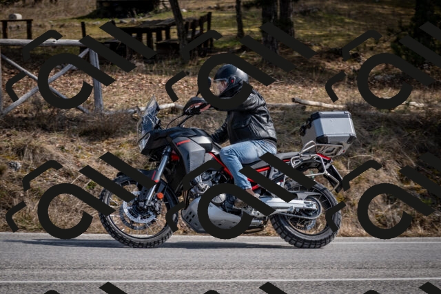 202603011249-DSC_1310_c2