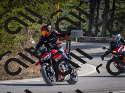 202603011300-DSC_1312_c2