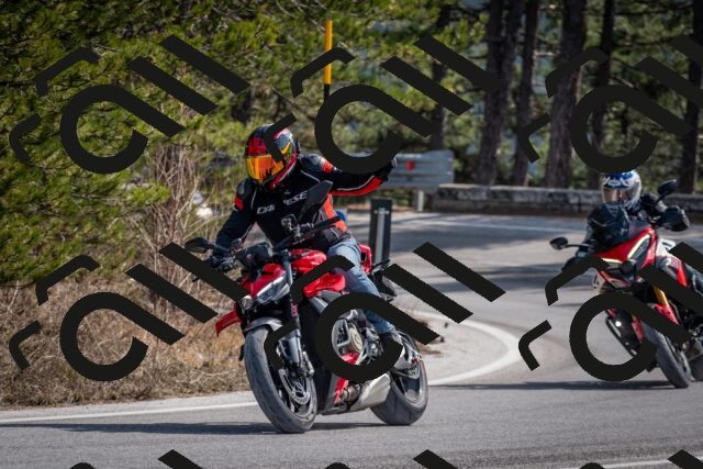 202603011300-DSC_1312_c2