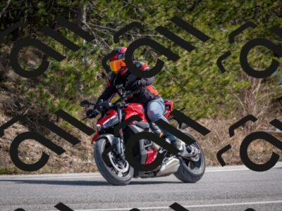 202603011300-DSC_1313_c2