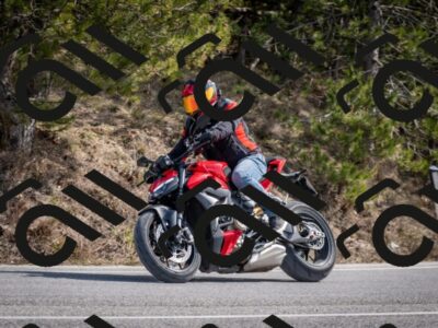 202603011300-DSC_1314_c2