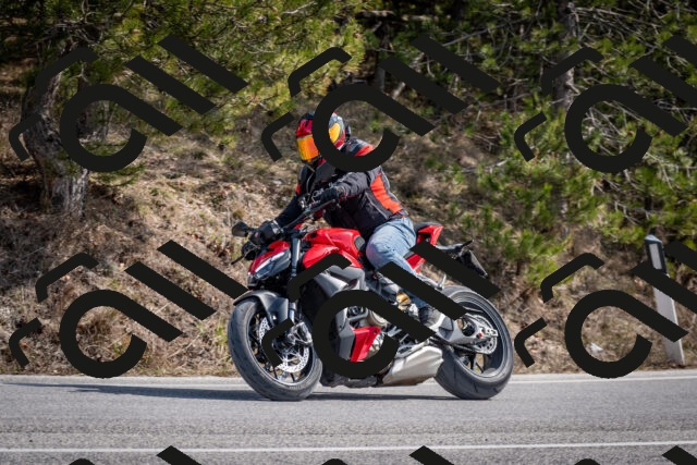 202603011300-DSC_1314_c2