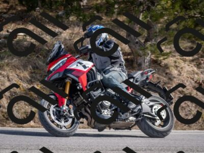 202603011300-DSC_1315_c2